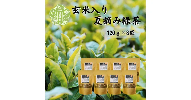 【ふるさと納税】玄米入り夏摘み緑茶 120g×8袋 世羅茶 お茶 茶葉 玄米茶 日本茶 A030-08