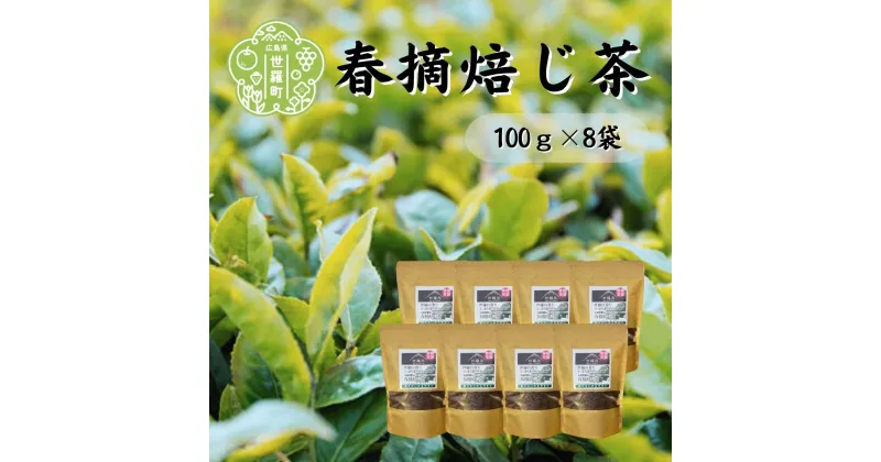 【ふるさと納税】春摘焙じ茶 100g×8袋 世羅茶 ほうじ茶 お茶 茶葉 健康茶 A030-09