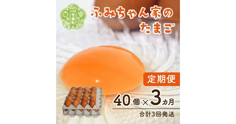 【ふるさと納税】【定期便3カ月】ふみちゃん家のたまご 40個入《合計3回発送》広島県 卵 タマゴ 玉子 新鮮 世羅 生みたて卵 卵かけごはん だし巻き スイーツ TKG A027-05