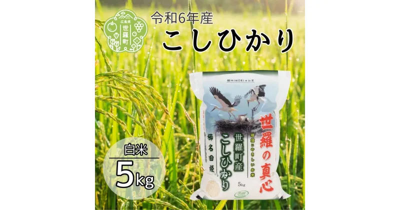 【ふるさと納税】令和6年産 世羅の真心 こしひかり 白米 5kg 米 お米 新米 ご飯 ごはん おにぎり おこめ こめ コシヒカリ 世羅 世羅産 令和6年産 5キロ A056-04