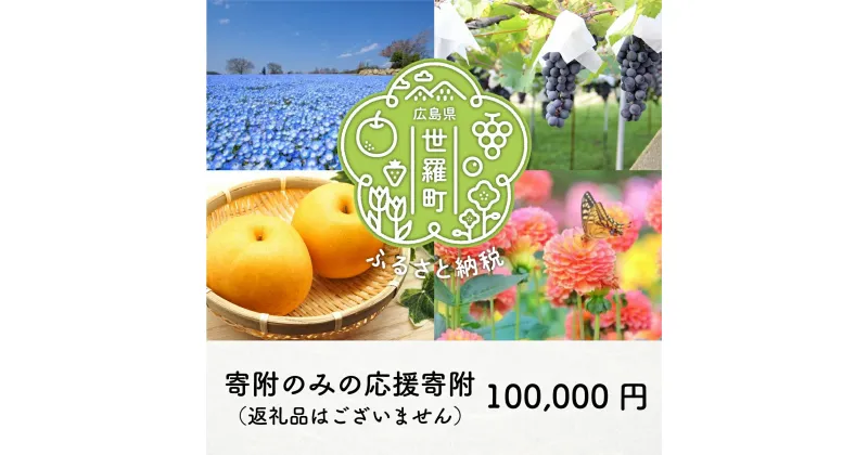 【ふるさと納税】世羅町への寄附 (返礼品はありません) 広島県 世羅町 返礼品なし 1口 100000円 10万円 十万円 A101-11