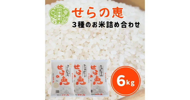 【ふるさと納税】【令和6年産】せらの恵 3種のお米詰め合わせ こしひかり 2kg ミルキークイーン 2kg きぬむすめ 2kg 合計6kg 白米 お米 ご飯 おにぎり コシヒカリ 食べ比べ 産地直送 JGAP認証 A066-02