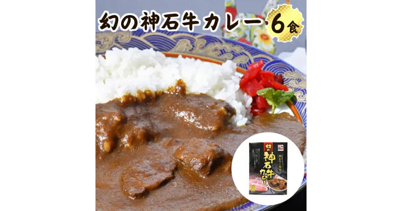 【ふるさと納税】幻の神石牛カレー 6食セット 送料無料 レトルト 広島県 神石高原町 ご当地カレー ブランド牛 黒毛和牛