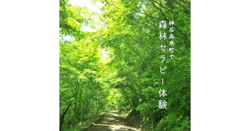 【ふるさと納税】森林セラピー体験 神石高原町 広島県 6名まで 送料無料 ヘルスチェック 木漏れ日ロード 体験型返礼