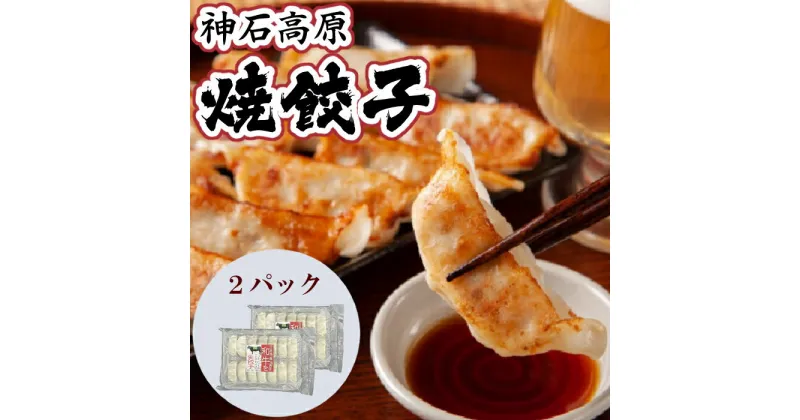 【ふるさと納税】神石高原焼餃子　送料無料　広島県産　ギフト　プレゼント