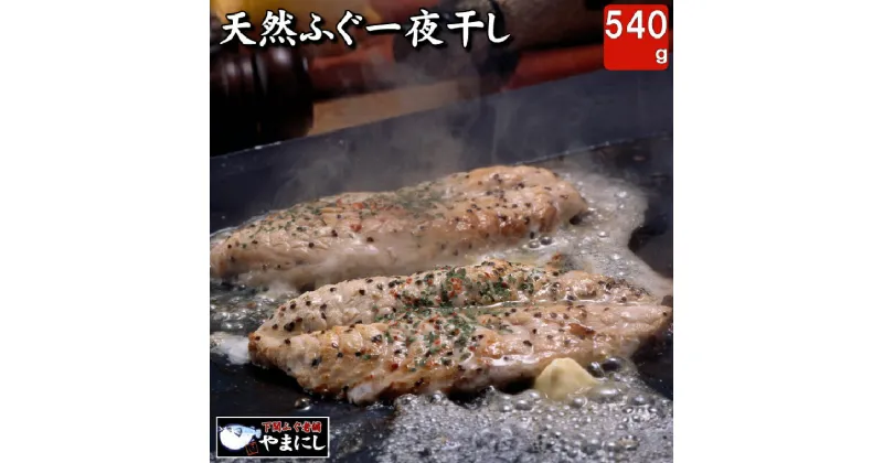 【ふるさと納税】 ふぐ ふく 干物 540g 一夜干し アレンジ 料理 旨味 高級 魚 河豚 下関 下関 山口