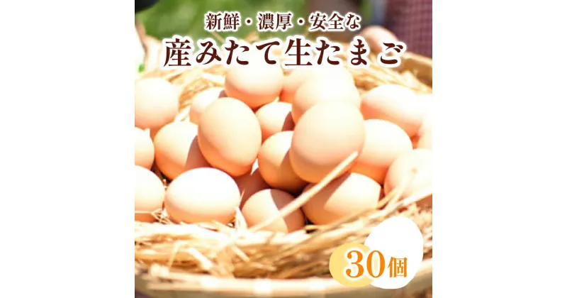 【ふるさと納税】 たまご 卵 30個 ( 26個 ＋ 割れ保障 4個 ) 産みたて 生たまご 新鮮 鮮度 抜群 下関 豊北 養鶏場 人気 返礼品 6000円 山口 ごはんのお供