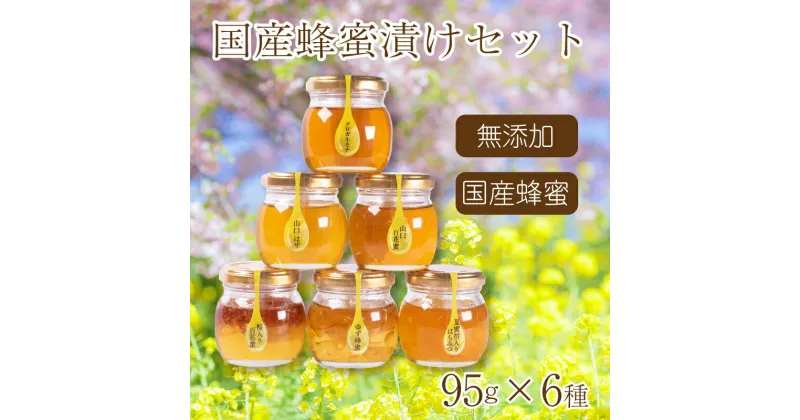 【ふるさと納税】 はちみつ 国産 蜂蜜漬け セット 570g( 95g×6種 ) 山口県産 下関