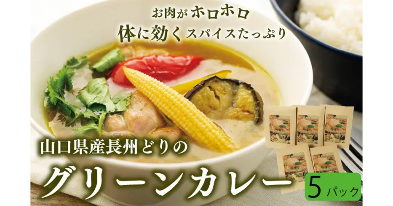 【ふるさと納税】 長州どり グリーン カレー 山口県産 鶏肉 170g × 5袋 お取り寄せ ごはんのお供 国産 長州 鶏 無添加 抗生物質 不使用 下関市 山口 肉特集