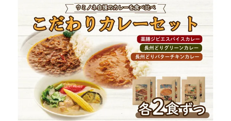 【ふるさと納税】 薬膳 ジビエ スパイス カレー 下関産 鹿肉 長州どり グリーン カレー バターチキン カレー × 各2食 お取り寄せ ごはんのお供 国産 シカ 長州 鶏 無添加 低脂肪 高タンパク 下関市 山口 肉特集