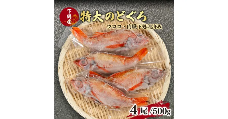 【ふるさと納税】 のどぐろ 中 サイズ 4尾 高級 魚 鮮魚 冷凍 アカムツ 下処理 済 下関