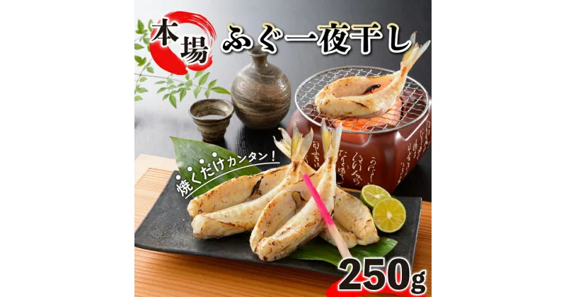 【ふるさと納税】 ふぐ 国産 一夜干し 250g 干物 おつまみ おかず ふく ギフト 中元 贈答 下関 山口 ごはんのお供