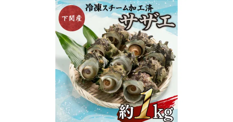 【ふるさと納税】 サザエ 約1kg 7〜12粒 特大サイズ 刺身 冷凍 スチーム加工 包装 レンジ で チンするだけ 下関 阿川 漁協 コラボ 産地直送 貝 秋 ごはんのお供 お酒 おつまみ 父の日 プレゼント ギフト お中元 お歳暮 旬 年末 年始 ご褒美 新鮮 海鮮 魚介 簡単 調理