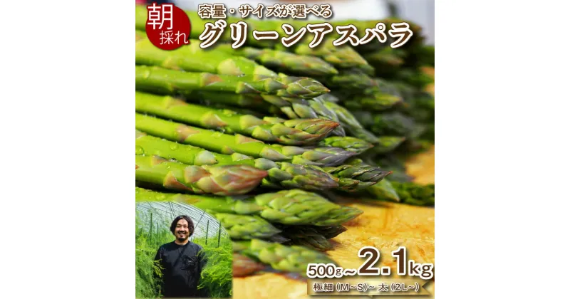 【ふるさと納税】 【 先行予約 】 アスパラガス 500g~2.1kg 朝採れ 大容量 アスパラ S~2L 有機肥料使用 サイズ混合 訳あり セット 野菜 新鮮 夕飯 おかず お弁当 新鮮アスパラ 選べる 容量 サイズ 選べる お届け月 秀吉農園 菊川 下関 山口 【2025年3-4月・6~7月より発送】