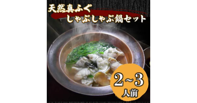 【ふるさと納税】 天然 真ふぐ しゃぶしゃぶ 鍋セット 2〜3人前 冷凍 国産 天然 まふぐ てっちり 河豚 関門ふぐ ふく ふぐ鍋 ふぐちり鍋 海鮮鍋 高級魚 本場 下関 山口 旬 お取り寄せ ギフト 歳暮 お祝い 記念 お中元 プレゼント 年末 年始 冬 旬 母の日 父の日