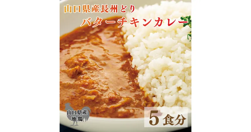 【ふるさと納税】 長州どり バターチキン カレー 山口県産 鶏肉 170g x 5袋 お取り寄せ ごはんのお供 国産 長州 鶏 無添加 抗生物質 不使用 下関市 山口 肉特集