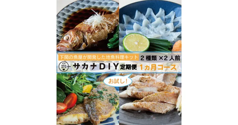 【ふるさと納税】 お試し 1回 鮮魚 刺身 煮魚 揚物 冷凍 真空 小分け サカナ DIY 料理 ミール キット 2人前 2種 1ヶ月 計 2食 カンタン 調理 地魚 下関 山口 お楽しみ 魚介 海鮮 お魚 簡単調理 惣菜 おかず 夕食 晩ごはん お手軽