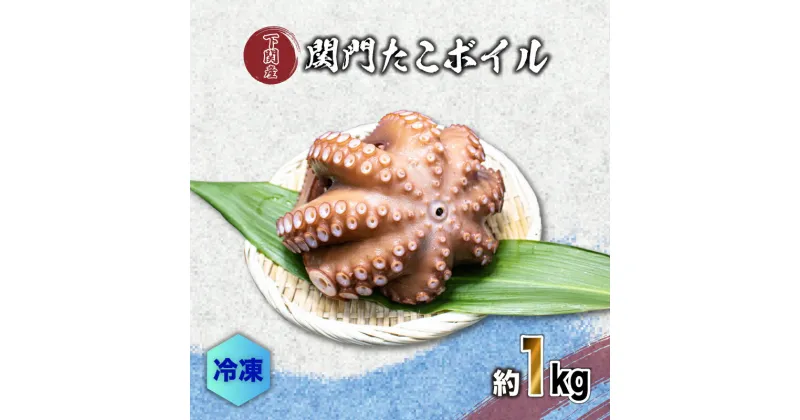 【ふるさと納税】 たこ ボイル 冷凍 約1kg 真空 パック 地ダコ 関門だこ 蛸 鮮魚店 唐戸市場 直送 下関 うお華