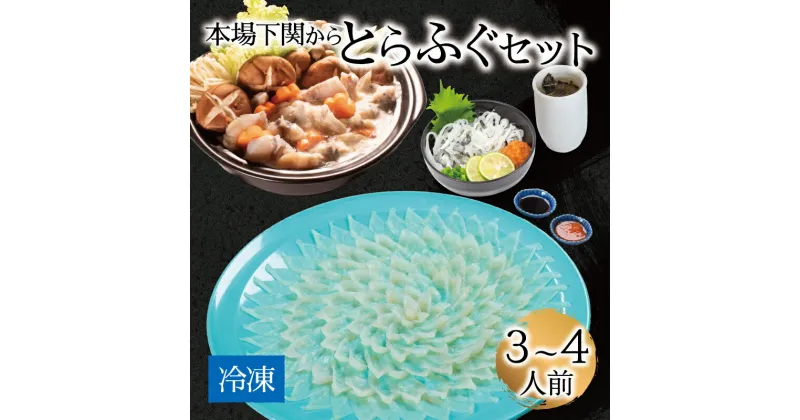 【ふるさと納税】 下関 とらふぐ 刺身 鍋 セット 3〜4人前 冷凍 下関 ふぐ刺し てっさ ふぐちり ふく ふぐ料理 セット 中元 ギフト お取り寄せ グルメ 山口