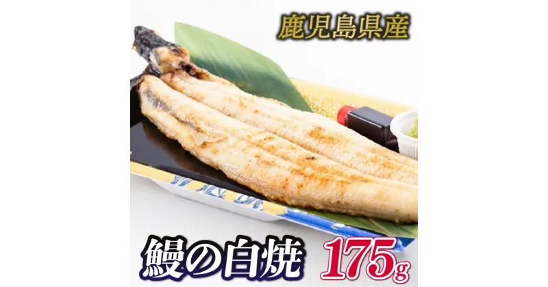 【ふるさと納税】 うなぎ 白焼き 国産 鹿児島 1尾 175g 鰻 ウナギ 土曜 丑の日 冷凍 真空パック レンジ 簡単調理 専門店 うな勝 下関 山口