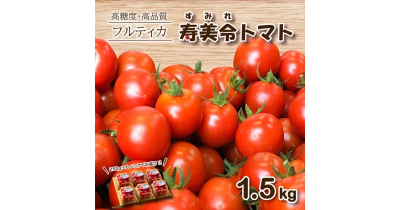 【ふるさと納税】 寿美令トマト フルーツトマト 1.5kg ( 250gパック×6個 ) 選べる 発送 月 野菜 新鮮 プチトマト 期間限定 小分け 季節限定 トマト 下関 山口