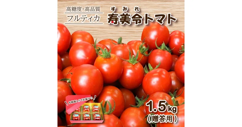 【ふるさと納税】 【 贈答用 】 寿美令トマト フルーツトマト 1.5kg ( 250gパック×6個 ) 化粧箱入り 選べる 発送 月 野菜 新鮮 プチトマト 期間限定 小分け 季節限定 トマト 下関 山口