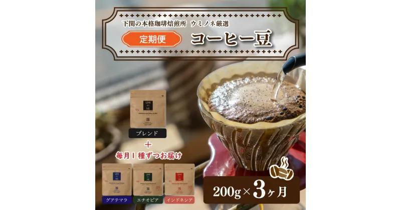 【ふるさと納税】 コーヒー 豆 定期便 200g 3回 ブレンド グアテマラ インドネシア エチオピア 新鮮 ギフト 下関市 山口 父の日 母の日 プレゼント 贈り物 お歳暮 お中元 お盆 感謝 贅沢 年末 年始 本場 朝食 にもピッタリ 人気