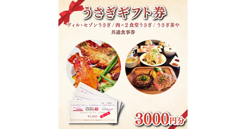 【ふるさと納税】 ウサギグループ 食事 券 ギフト 3,000円分 うさぎ 肉バル フレンチ レストラン ランチ 下関 山口