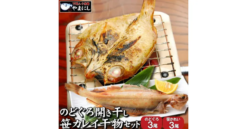 【ふるさと納税】 のどぐろ 開き 干し 笹 カレイ 冷凍 干物 2種 3尾ずつ セット 詰め合わせ ノドグロ 小サイズ 冷凍 高級魚 国産 下関 山口