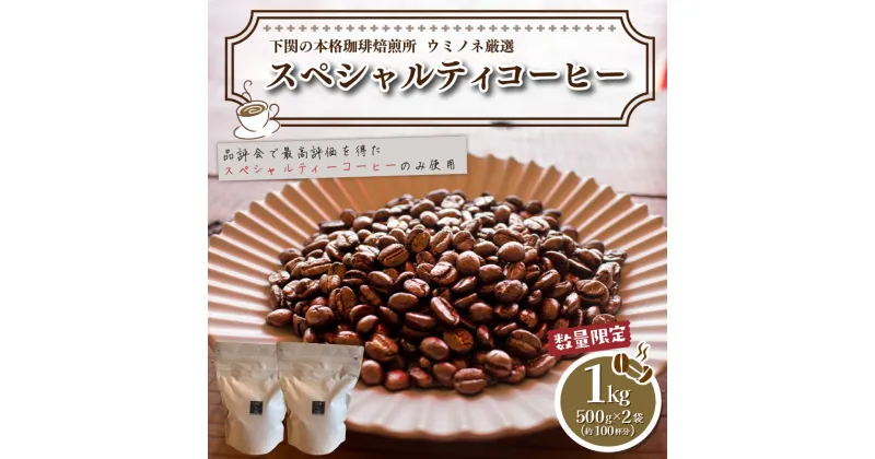 【ふるさと納税】 ＼7営業日以内に発送／ 訳あり コーヒー 豆 1kg ( 500g × 2袋 ) 選べる 種類 挽き方 定期便 ブラジル ベトナム タイ インドネシア ホンジュラス 数量限定 コーヒー 珈琲 自家焙煎 スペシャルティコーヒー 日指定可 下関 山口 【再入荷 2024年度入荷分】