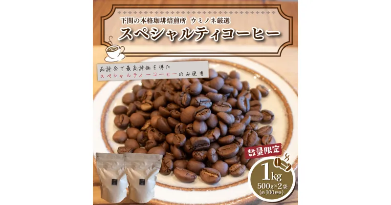 【ふるさと納税】 ＼7営業日以内に発送／ 訳あり コーヒー 豆 1kg ( 500g × 2袋 ) 選べる 種類 挽き方 定期便 ブラジル ベトナム タイ インドネシア ホンジュラス 数量限定 コーヒー 珈琲 自家焙煎 スペシャルティコーヒー 日指定可 下関 山口 【再入荷 2024年度入荷分】