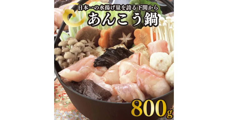 【ふるさと納税】 下関 あんこう 鍋 800g あん肝 入り 味噌 ダレ 付