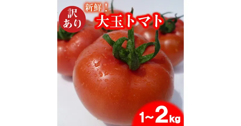 【ふるさと納税】 訳あり トマト 先行予約 1~2kg 大玉 期間限定 数量限定 野菜 産地直送 お試し 高糖度 リコピン ビタミンC 美容 ご自宅用 栄養 甘い おいしい 下関 山口 【2025年4月以降に発送】