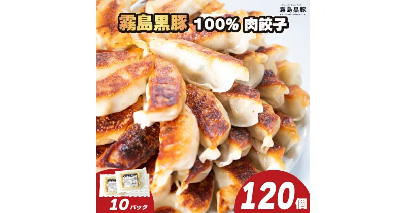 【ふるさと納税】 訳あり 霧島黒豚 肉100％ 肉餃子 120個 冷凍 12個×10パック 小分け 冷凍餃子 大容量餃子 国産原料餃子 簡単調理餃子 ぎょうざ ギョーザ 餃子（ 肉 豚肉 九州産黒豚 10000円 加工食品 お手軽 簡単調理 惣菜 絶品 おかず 弁当 おつまみ 晩ごはん