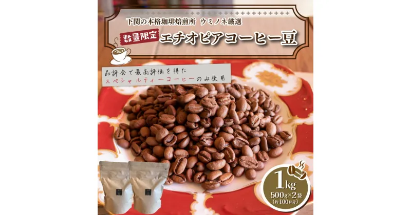 【ふるさと納税】 訳あり コーヒー 豆 1kg ( 500g × 2袋 ) エチオピア コーヒー豆 自家焙煎 焙煎 スペシャルティコーヒー 豆 選べる 煎り方 深煎り 中深煎り 浅煎り 珈琲 飲料 限定 おうち時間 下関 山口