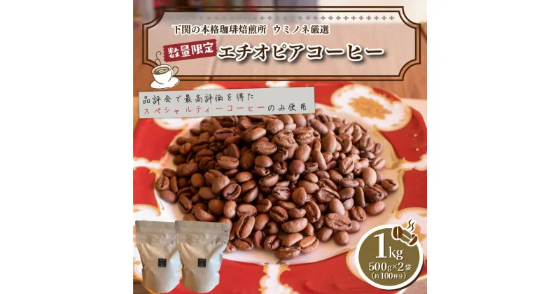 【ふるさと納税】 訳あり コーヒー 粉 1kg ( 500g × 2袋 ) エチオピア 珈琲 ハンドドリップ 自家焙煎 焙煎 スペシャルティコーヒー 選べる 煎り方 深煎り 中煎り 浅煎り 飲料 限定 おうち時間 下関 山口