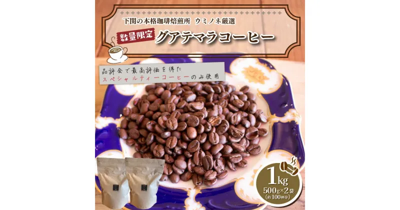 【ふるさと納税】 訳あり コーヒー 粉 1kg ( 500g × 2袋 ) グアテマラ 珈琲 ハンドドリップ 自家焙煎 焙煎 スペシャルティコーヒー 選べる 煎り方 深煎り 中煎り 浅煎り 飲料 限定 おうち時間 下関 山口