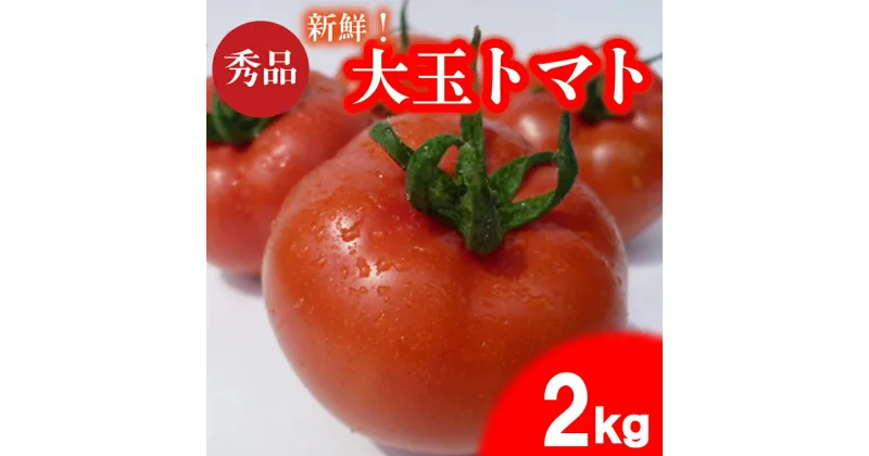 【ふるさと納税】 トマト 先行予約 2kg 大玉 選べるサイズ 期間限定 数量限定 野菜 産地直送 高糖度 リコピン ビタミンC 美容 栄養 甘い おいしい 大容量 下関 山口 【2025年4月以降の発送】