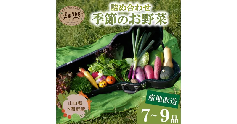 【ふるさと納税】旬 の 野菜 詰め合わせ セット 7 ~ 9 品 お楽しみ 産地直送 農家直送 季節 春 夏 秋 冬 露地野菜 やさい サラダ 農薬 化学肥料 不使用 下関 山口