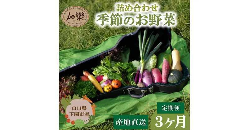 【ふるさと納税】 旬 の 野菜 詰め合わせ セット 3ヶ月 定期便 7 ~ 9 品 お楽しみ 産地直送 農家直送 季節 春 夏 秋 冬 露地野菜 やさい サラダ 農薬 化学肥料 不使用 下関 山口