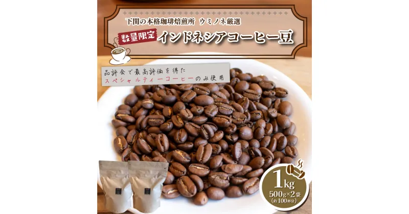 【ふるさと納税】 訳あり コーヒー 豆 1kg ( 500g × 2袋 ) 数量限定 選べる 煎り方 深煎り 中深煎り 浅煎り インドネシア 珈琲 自家焙煎 飲料 限定 おうち時間 下関 山口