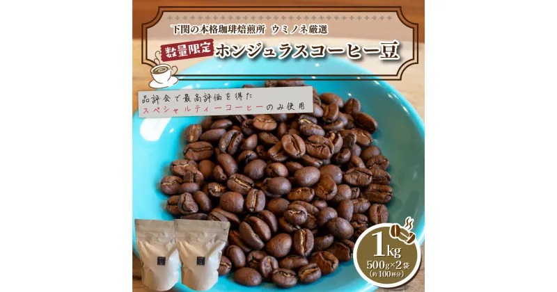 【ふるさと納税】 訳あり コーヒー豆 1kg ( 500g × 2袋 ) 数量限定 選べる 煎り方 深煎り 中煎り 浅煎り ホンジュラス 珈琲 自家焙煎 飲料 限定 おうち時間 下関 山口