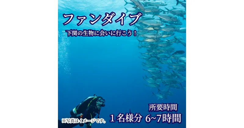 【ふるさと納税】 ファン ダイブ 2ダイブ 1名様分 ビーチ スポーツ マリンスポーツ アクティビティ 下関 山口