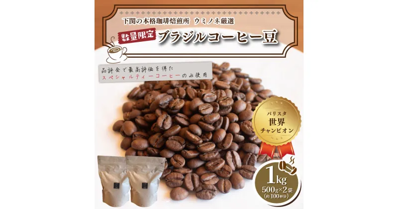 【ふるさと納税】 ＼7営業日以内に発送／ 訳あり コーヒー 豆 1kg ( 500g × 2袋 ) ブラジル レッド カトゥアイ 選べる 種類 挽き方 数量限定 コーヒー 珈琲 出荷当日 自家焙煎 スペシャルティコーヒー コーヒータイム 飲料 オフィス キャンプ アウトドア 日指定可 下関 山口