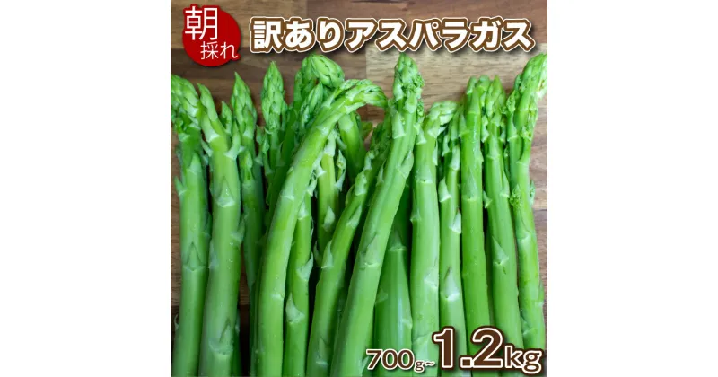 【ふるさと納税】 【 先行予約 】 訳あり アスパラガス B品 700g~1.2kg 朝採れ 大容量 アスパラ S~3L 有機肥料使用 サイズ混合 セット SDGs フードロス 食品ロス お届け月 規格外 野菜 新鮮 夕飯 おかず お弁当 新鮮アスパラ 選べる 容量 下関 山口 【2025年6-7月発送】