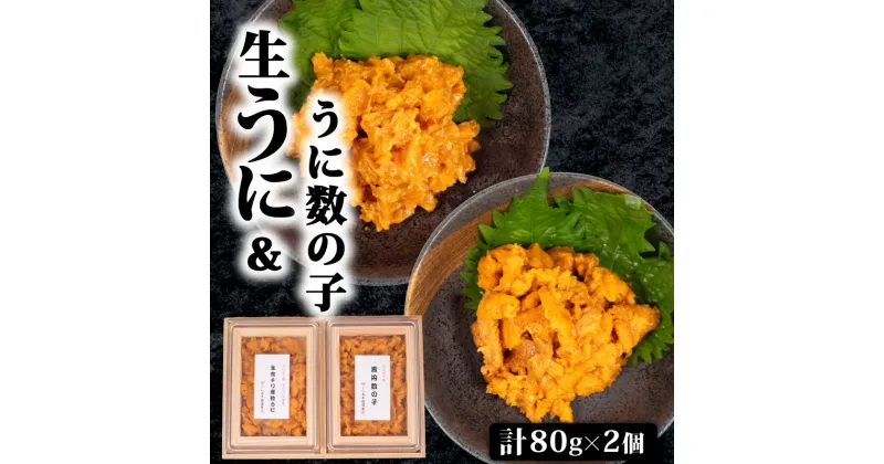 【ふるさと納税】 生うに 雲丹数の子 セット 計 160g （ 80g ×2 ） 塩うに 粒うに うに ウニ 雲丹 海鮮 魚介 新鮮 人気 珍味 父の日 母の日 お中元 お歳暮 年末 年始 ギフト プレゼント 贈り物 贈答 感謝 高級 人気うに 塩ウニ ウニ丼 うに丼 理由あり うに甚 下関 山口