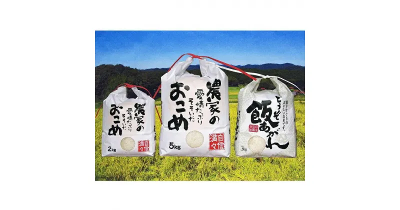 【ふるさと納税】宇部市 小野 『大山産米』 精米10kg　山口県 宇部市 精米 コシヒカリ 10kg 5kg 3kg 2kg 腰割岳 湧水 大山米 米 ご飯 新米 水 小分け