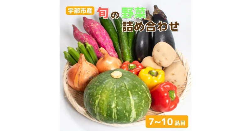 【ふるさと納税】新鮮野菜の産直 ＜楠こもれびの郷「楠四季菜市」＞　山口県 宇部市 宇部産 新鮮 野菜 詰合わせ 農家 土づくり 有機 肥料 地元産 季節 旬