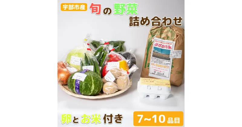 【ふるさと納税】宇部産のお米と野菜 ＜楠こもれびの郷「楠四季菜市」＞　山口県 宇部市 宇部産 米 5kg 新鮮 野菜 詰合わせ 農家 土づくり 有機 肥料 地元産 季節 旬