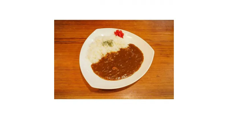 【ふるさと納税】DELICHA オリジナルカレーセット（10食入り）山口県 宇部市 老舗 居酒屋 地元 人気 自慢 自家製 カレールー 野菜 うまみ 洋食 仕込み カレー 少し 甘口 お子様 大人 美味しい 自然 解凍 湯せん 食べやすい 簡単 料理 調理 プレゼント ギフト 贈り物